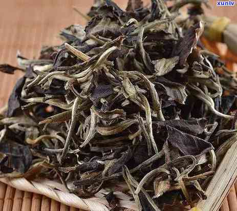 红茶叶底大多呈绿色正常吗，绿茶和红茶：为什么茶底颜色不同？