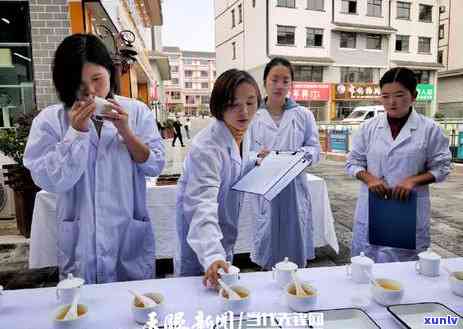 红茶的树叶是什么颜色？查看红茶树叶真实图片，了解红茶叶子的形态与颜色特性！