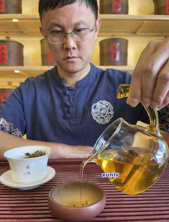 红茶的树叶是什么颜色？查看红茶树叶真实图片，了解红茶叶子的形态与颜色特性！