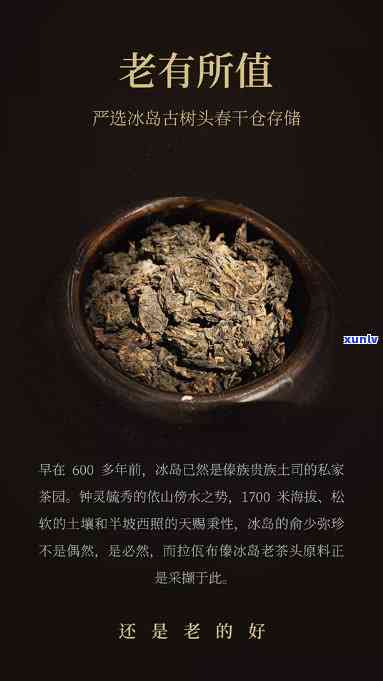 老树冰岛茶头的品质，探索老树冰岛茶头的越品质