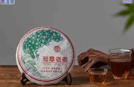 普洱茶冲泡的艺术：一次冲泡多少克才是选择？