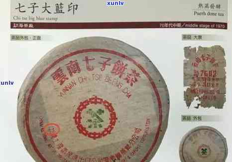 1998年中茶黄印7572生茶真伪鉴别与价格解析，附实物图