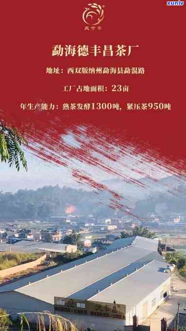 中茶集团凤庆茶厂，探秘中国茶叶历：中茶集团凤庆茶厂的故事