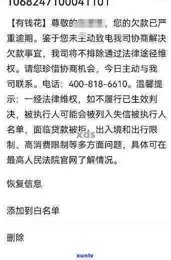 有钱花逾期起诉成功案例：胜诉率及作用深度解析