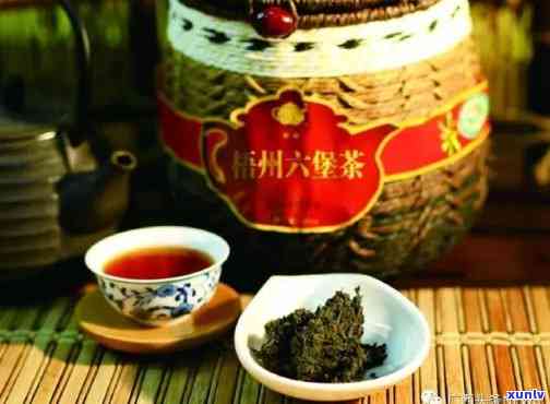 广西梧州名茶六堡茶的价格，探究广西梧州名茶六堡茶的市场价格及其影响因素