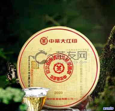 中茶97水印价格，最新报价！中茶97水印市场价格解析