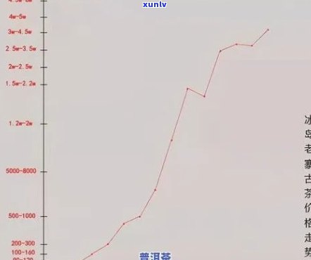 2019冰岛茶的价格：历年走势与最新行情分析