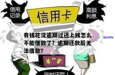 有钱花没逾期过还上钱，为何借款申请被拒？会作用吗？