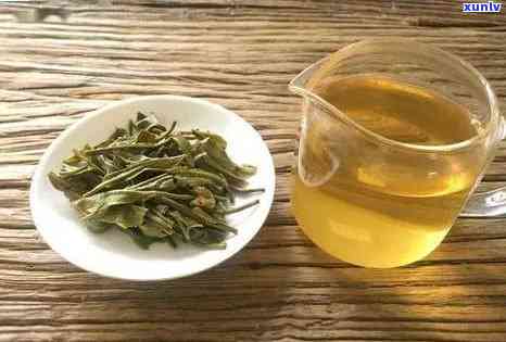 冰岛春茶是什么茶？种类、价格全面解析！