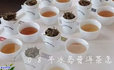 06年冰岛茶，回顾06年：冰岛茶的故事