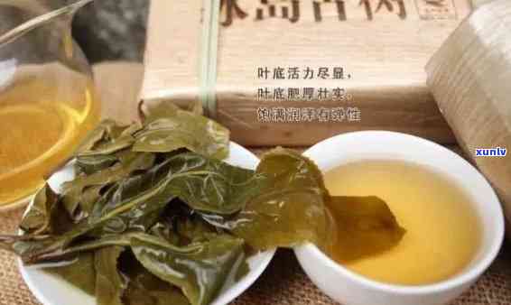 冰岛茶是什么样子的茶，揭示冰岛茶的秘密：探索这种独特茶叶的特点和风味