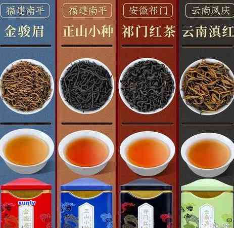 门红茶有哪几种，探究门红茶的种类：你了解多少？