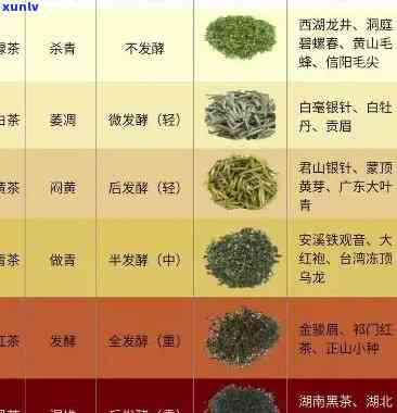 朝红茶叶：茶类、茶种及品种全解析