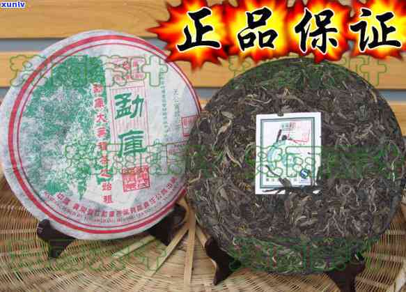 2016冰岛母树茶-冰岛大树茶价格