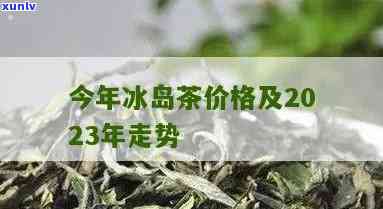 冰岛茶2013的价格，2013年冰岛茶多少钱？价格走势分析