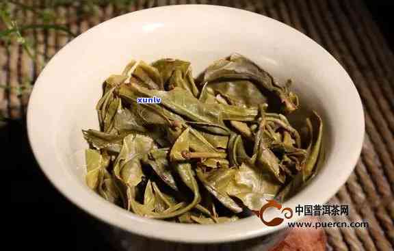 冰岛茶收藏价值，探究冰岛茶的收藏价值：一种独特的茶叶体验