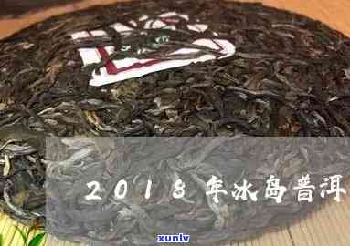 2018冰岛茶价钱-2018年冰岛茶价格