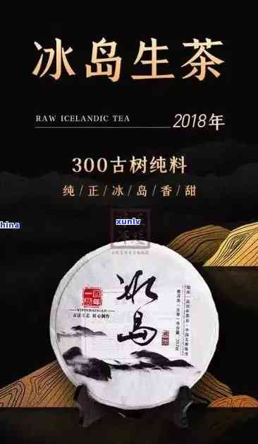 冰岛老树茶厂，探索冰岛老树茶厂：品味独特茶叶的源头