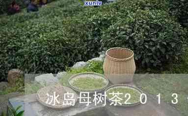 冰岛母树茶2002茶价格，探究冰岛母树茶2002年的市场价格走势