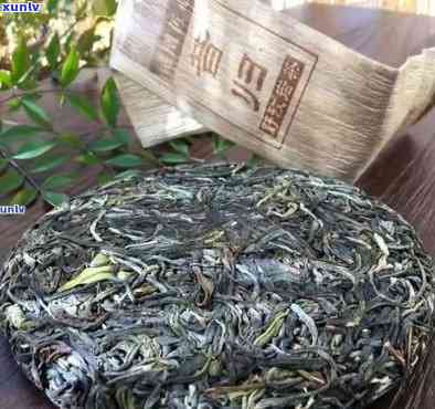 冰岛老树茶厂简介，探秘冰岛老树茶厂：了解其历与特色