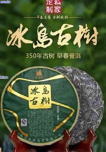 冰岛大树茶普洱茶生茶357克，品尝北风味：冰岛大树茶普洱茶生茶，357克装