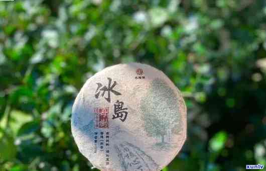 冰岛茶系列，探索冰岛茶的独特魅力：一次味蕾的冒险