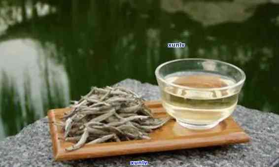 金俊茶叶：红茶or白茶？哪一种更好？