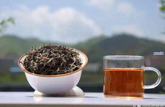 茶叶和红茶是什么关系，探究茶叶与红茶的亲缘关系：它们有何不同？