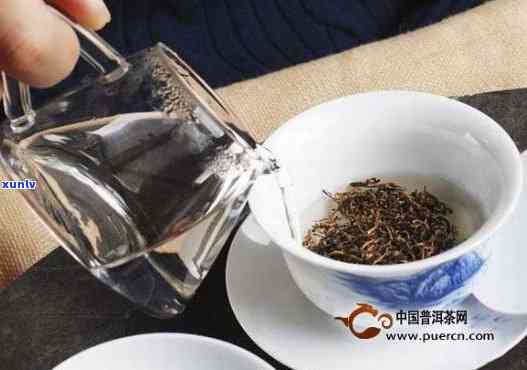 红茶需要茶水分离吗？过滤、过水、煮茶、渥堆、需新茶全解析