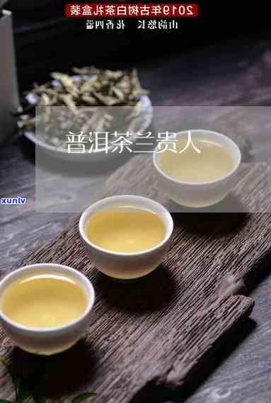 茶叶兰贵人是红茶吗还是绿茶，红茶or绿茶？揭开茶叶兰贵人的神秘面纱