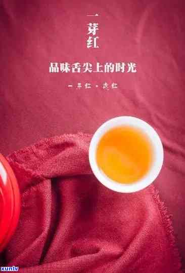 茶叶一点红是红茶吗还是白茶，揭秘茶叶一点红：它是红茶还是白茶？