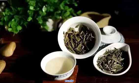 金枝茶叶：红茶or白茶？探讨其功效与区别