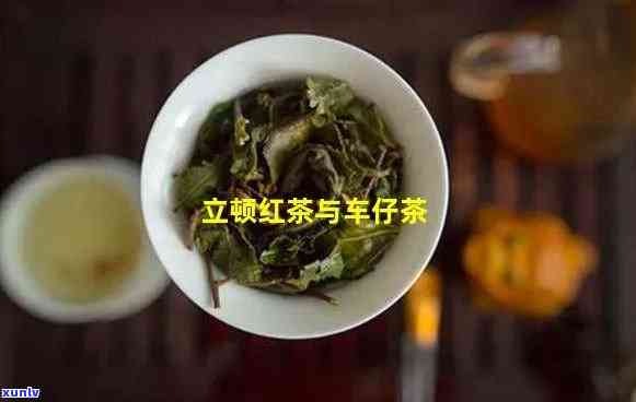 立顿红茶是茶叶渣吗，揭秘立顿红茶：它是茶叶渣吗？