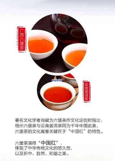 中茶六堡茶6208，《品味“中茶六堡茶6208”：传统工艺与现代口感的完美结合》