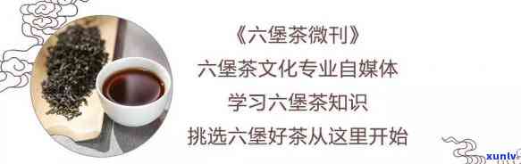 中茶六堡茶：什么茶类、价格图片、功效与作用及传承历全解析