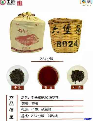 中茶12206六堡茶：为何被称为'茶后'？其价格是多少？与其他几种中茶系列六堡茶有何区别？