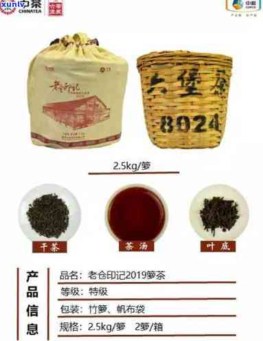 中茶12206六堡茶，探索中国茶文化：中茶12206六堡茶的魅力与特点