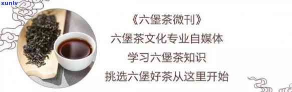 中茶六堡茶1101，深入了解中茶六堡茶1101：口感、功效与冲泡 *** 