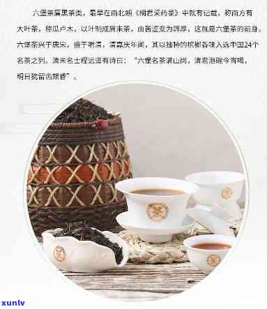 中茶窖藏六堡茶8218价格，探究中茶窖藏六堡茶8218的市场价格，品味地道茗香！