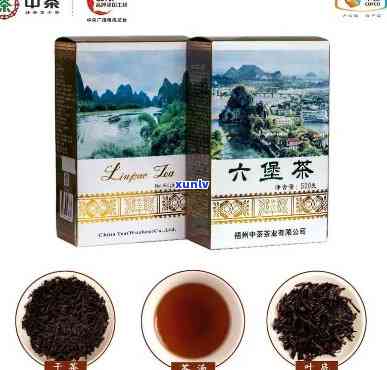 中茶六堡茶14版山水盒，品鉴山水之美：中茶六堡茶14版山水盒茶叶礼盒