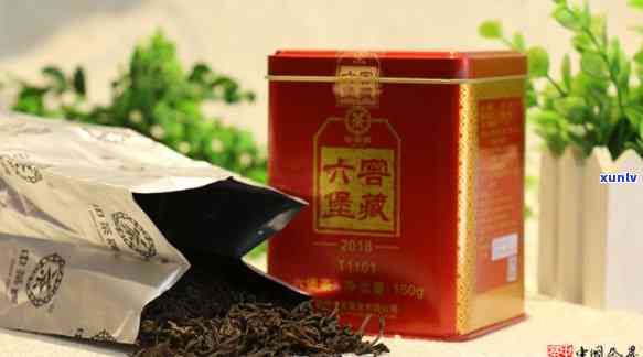 中茶六堡茶t1101，探索中茶六堡茶T1101的独特魅力与口感