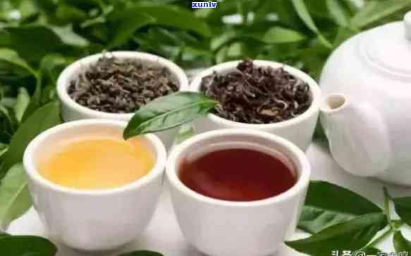 哪些茶叶属于红茶类？绿茶、乌龙茶还是白茶？详解各类茶叶的分类与特点