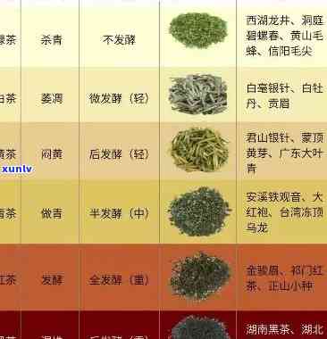 哪些茶叶属于红茶类？绿茶、乌龙茶还是白茶？详解各类茶叶的分类与特点