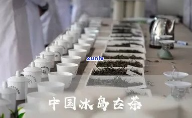 勐库冰岛古茶专业合作社，探秘中国茶叶珍品：勐库冰岛古茶专业合作社