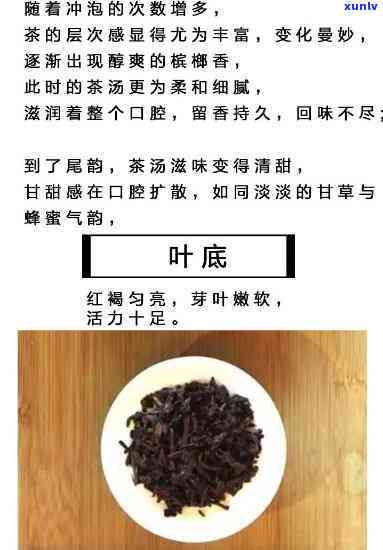 中茶六堡茶紫盒：区别、好坏与价格全解析