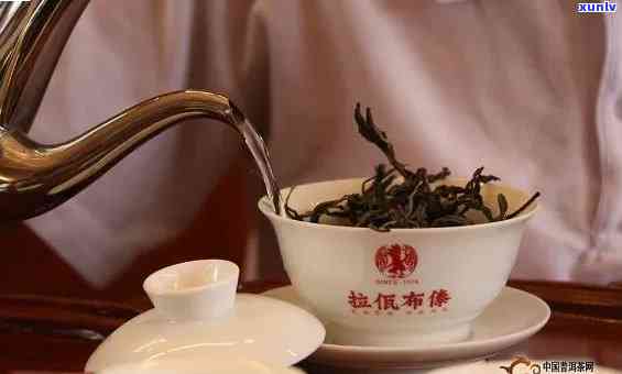 冰岛茶用什么壶泡好，选择：揭秘冰岛茶的完美冲泡方式！