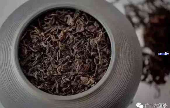 中茶六堡茶传承1952，六堡茶传人：中茶六堡茶的1952年传统工艺