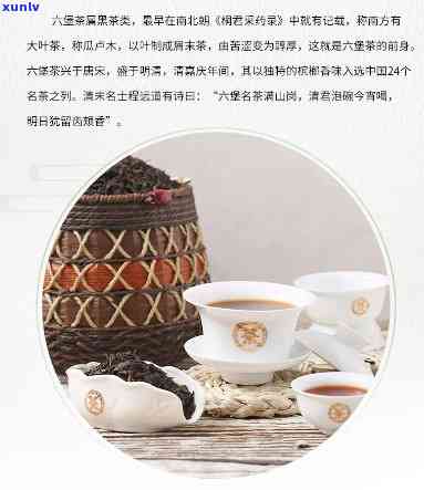 中茶六堡茶8218，探究中国传统名茶：中茶六堡茶8218的独特魅力