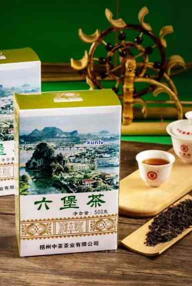 中茶六堡茶山水盒，品味自然，尽在手中——中茶六堡茶山水盒