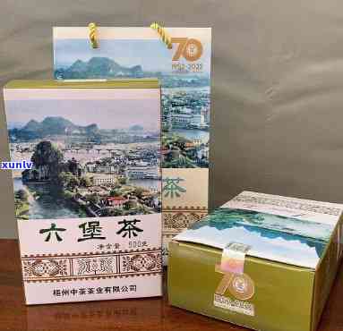 中茶六堡茶深山野韵-中茶六堡茶山水盒